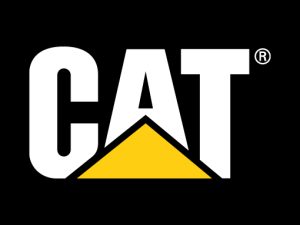 Cat Logo